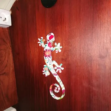 Voilier De Charme A Quai * Saint-Raphaël